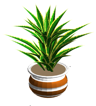 盆栽植物1