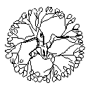 Evergreen Arbor Plan