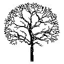 Defoliation Big Arbor Elevation 1