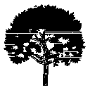 Abstract Arbor Elevation 1_Middle